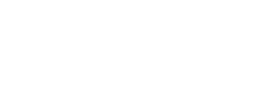 Perception point Logo